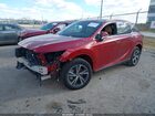 2024 Lexus Rx 350 Premium Red vin: 2T2BAMBA9RC038490