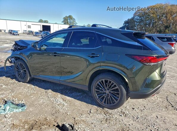 2T2BAMCA1RC088010 2024 LEXUS RX Green Trasero izquierdo