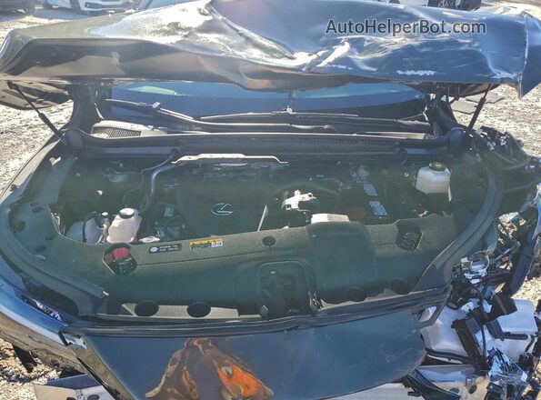 2T2BAMCA1RC088010 2024 LEXUS RX Green Vista interior trasera