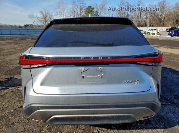 2T2BAMCA7SC090480 2025 LEXUS RX Silver უკანა ხედი