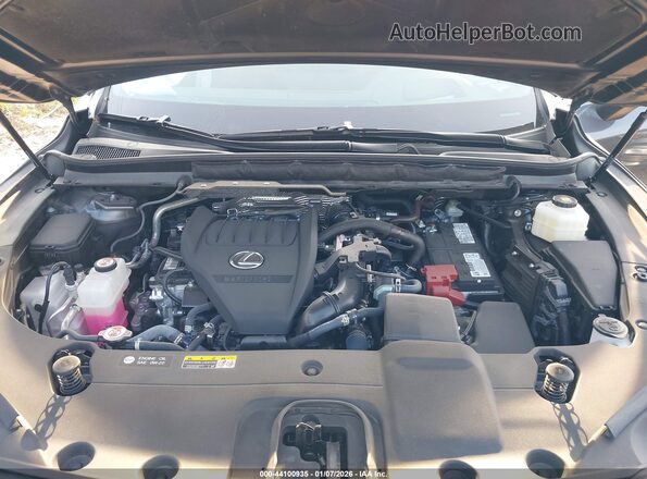 2T2BAMCA9RC054879 2024 LEXUS RX 350 Gray Widok z tyłu