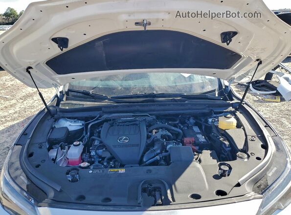 2T2BAMCA9SC099150 2025 LEXUS RX White Widok wnętrza z tyłu