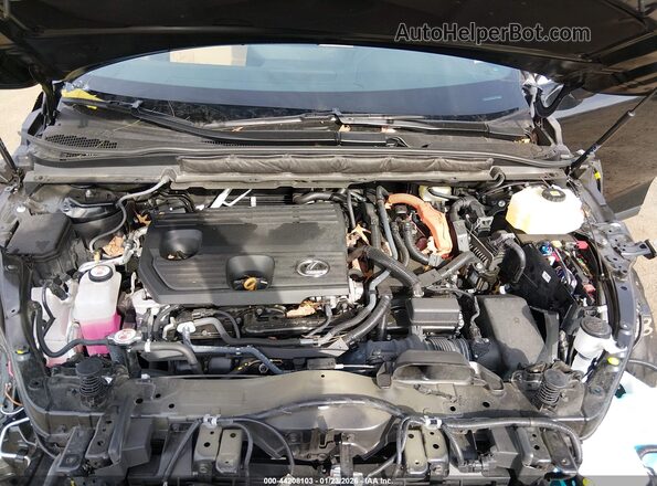 2T2BBMCA3RC033359 2024 LEXUS RX 350H Black Вид ззаду