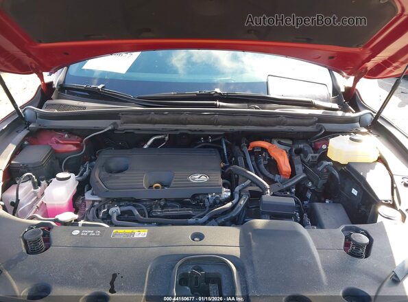 2T2BBMCA4PC015126 2023 LEXUS RX 350H Красный Вид сзади