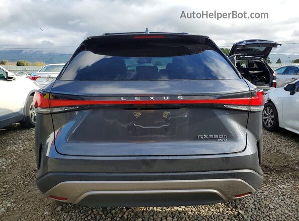 2T2BBMCA7RC036426 2024 LEXUS RX Угольный Вид сзади