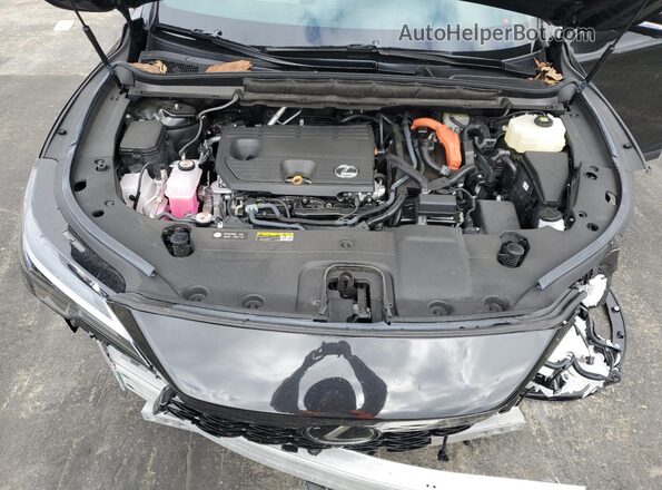 2T2BBMCA8SC077637 2025 LEXUS RX Черный Вид задней части салона