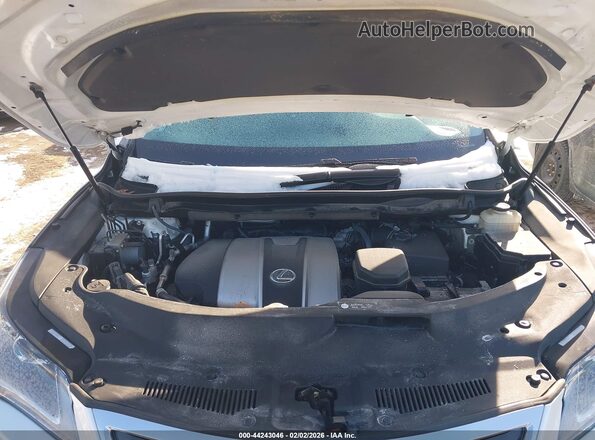 2T2BZMCAXKC189822 2019 LEXUS RX 350 Белый Вид сзади