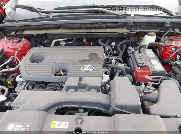 2T2GDCAZ1RC013842 2024 LEXUS NX 250 Red Вид ззаду