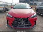 2024 Lexus Nx 250 Premium Red vin: 2T2GDCAZ1RC013842