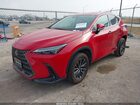 2024 Lexus Nx 250 Premium Red vin: 2T2GDCAZ1RC013842
