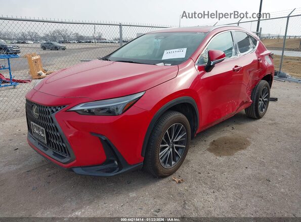 2T2GDCAZ1RC013842 2024 LEXUS NX 250 Red Передня ліва чверть