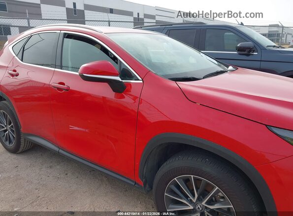 2T2GDCAZ1RC013842 2024 LEXUS NX 250 Red Вид задньої частини салону