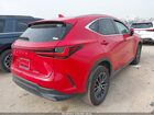 2024 Lexus Nx 250 Premium Red vin: 2T2GDCAZ1RC013842