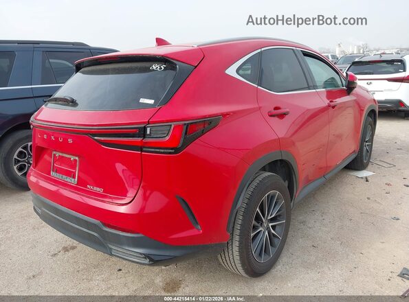 2T2GDCAZ1RC013842 2024 LEXUS NX 250 Red Задня права чверть