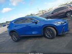 2025 Lexus Nx 250 Premium Blue vin: 2T2GDCAZ1SC023521