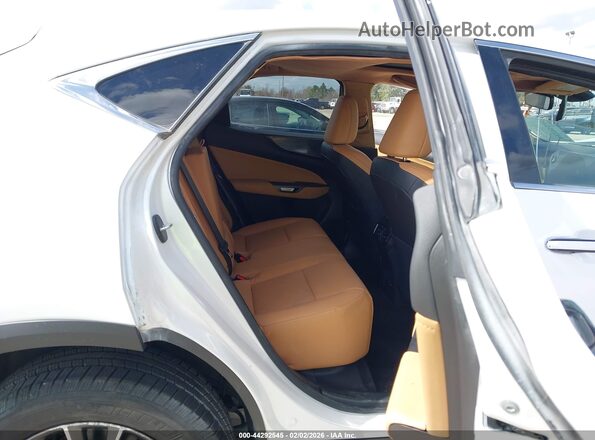 2T2GDCAZ4RC012085 2024 LEXUS NX 250 Белый Вид наклейки с VIN-кодом