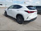 2024 Lexus Nx 250 Premium Белый vin: 2T2GDCAZ4RC012085