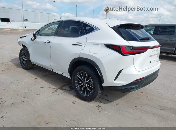 2T2GDCAZ4RC012085 2024 LEXUS NX 250 Белый Задняя левая четверть
