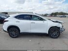 2024 Lexus Nx 250 Premium Белый vin: 2T2GDCAZ4RC012085