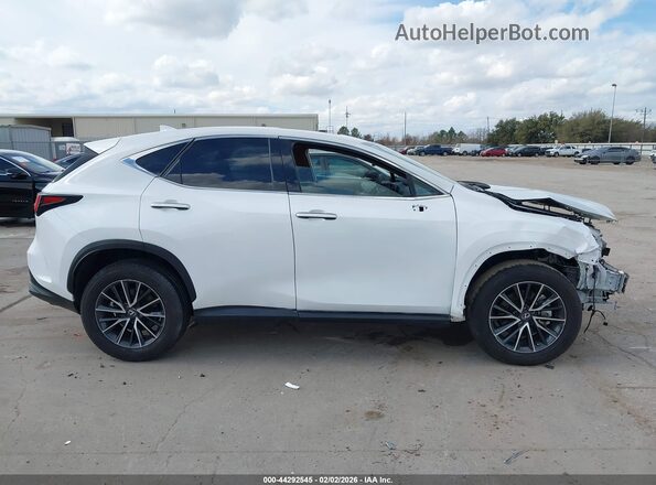 2T2GDCAZ4RC012085 2024 LEXUS NX 250 Белый Вид задней части салона