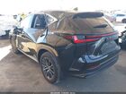 2024 Lexus Nx 250 Premium Black vin: 2T2GDCAZ5RC015769