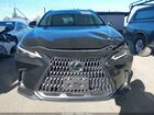 2024 Lexus Nx 250 Premium Black vin: 2T2GDCAZ5RC015769