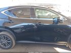 2024 Lexus Nx 250 Premium Black vin: 2T2GDCAZ5RC015769