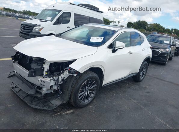 2T2GDCAZ6SC016211 2025 LEXUS NX 250 Белый Передняя левая четверть