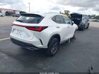 2025 Lexus Nx 250 Premium Белый vin: 2T2GDCAZ6SC016211