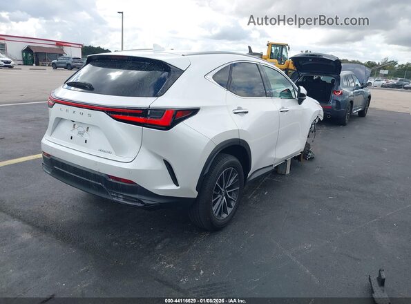 2T2GDCAZ6SC016211 2025 LEXUS NX 250 Белый Задняя правая четверть