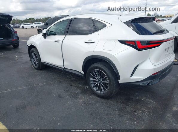 2T2GDCAZ6SC016211 2025 LEXUS NX 250 Белый Задняя левая четверть