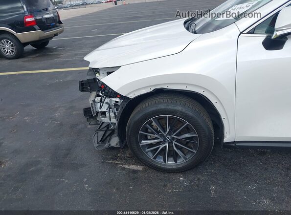 2T2GDCAZ6SC016211 2025 LEXUS NX 250 Белый Вид спереди