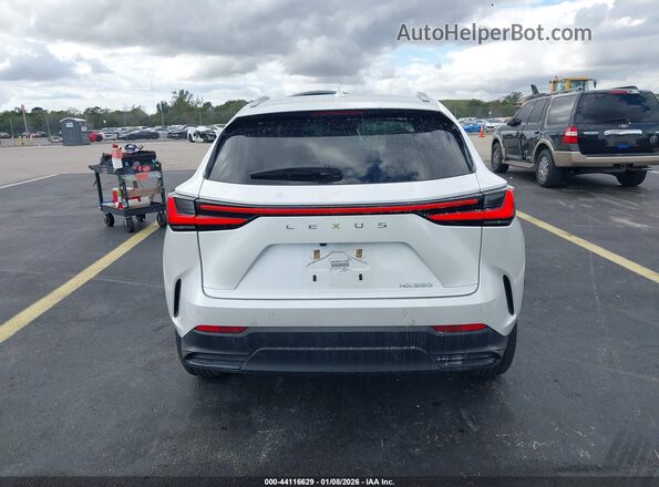 2T2GDCAZ6SC016211 2025 LEXUS NX 250 Белый 