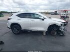 2025 Lexus Nx 250 Premium Белый vin: 2T2GDCAZ6SC016211