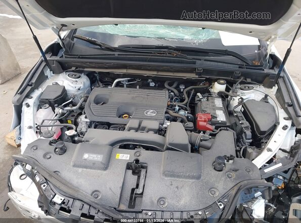 2T2GDCAZ8SC029848 2025 LEXUS NX 250 Белый Вид сзади