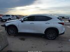 2025 Lexus Nx 250 Premium Белый vin: 2T2GDCAZ8SC029848