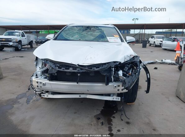 2T2GDCAZ8SC029848 2025 LEXUS NX 250 Белый Вид задней части салона
