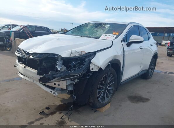 2T2GDCAZ8SC029848 2025 LEXUS NX 250 Белый Передняя левая четверть