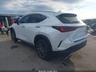 2025 Lexus Nx 250 Premium Белый vin: 2T2GDCAZ8SC029848