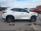 2025 Lexus Nx 250 Premium Белый vin: 2T2GDCAZ8SC029848