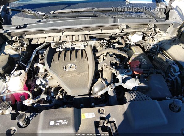 2T2GGCEZ1PC016173 2023 LEXUS NX 350 Gray Вид ззаду