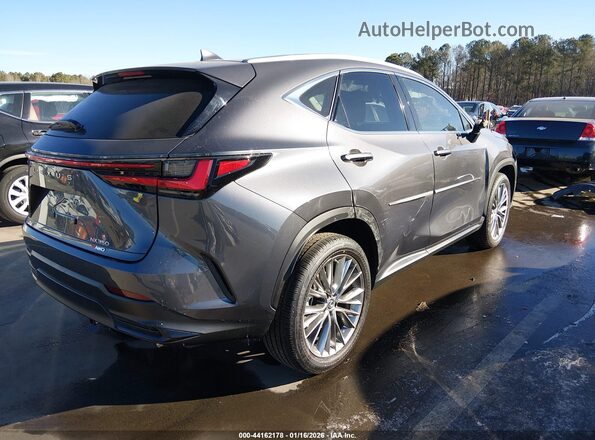2T2GGCEZ1PC016173 2023 LEXUS NX 350 Gray Задня права чверть