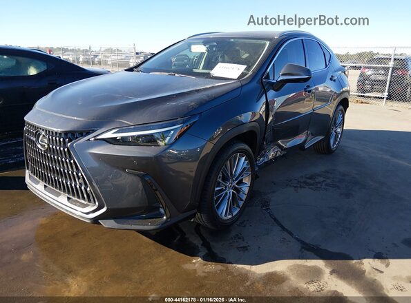 2T2GGCEZ1PC016173 2023 LEXUS NX 350 Gray Передня ліва чверть