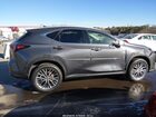 2023 Lexus Nx 350 Premium Gray vin: 2T2GGCEZ1PC016173
