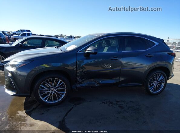 2T2GGCEZ1PC016173 2023 LEXUS NX 350 Gray Панорамний вид салону 360°