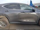 2023 Lexus Nx 350 Premium Gray vin: 2T2GGCEZ2PC029322