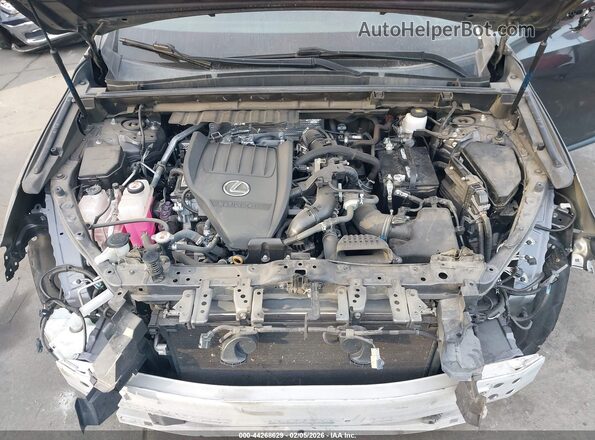 2T2GGCEZ2PC029322 2023 LEXUS NX 350 Gray უკანა ხედი