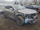 2024 Lexus Nx 350 Premium Серый vin: 2T2GGCEZ7RC047365
