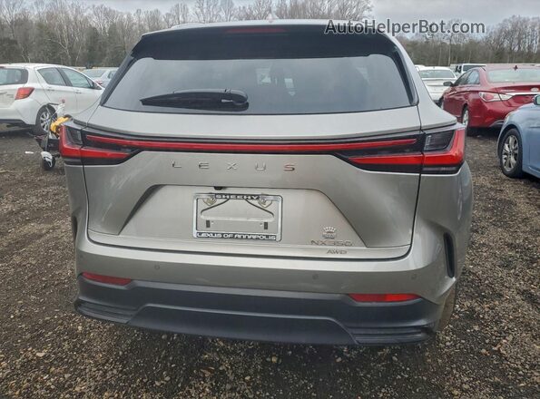 2T2GGCEZ7RC047365 2024 LEXUS NX Серый Вид сзади