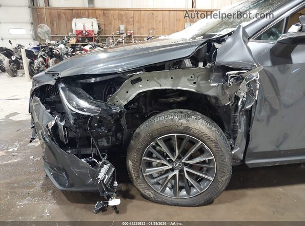 2T2GGCEZ7SC083076 2025 LEXUS NX 350 Gray Widok z przodu